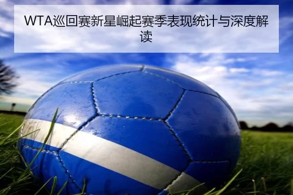 WTA巡回赛新星崛起赛季表现统计与深度解读