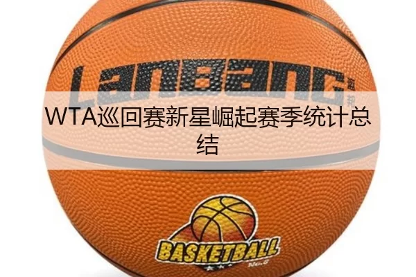 WTA巡回赛新星崛起赛季统计总结