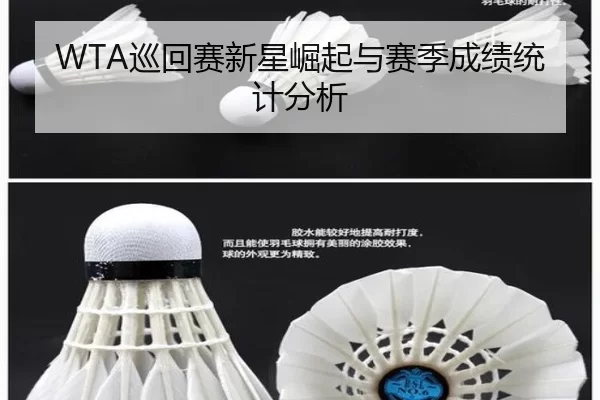 WTA巡回赛新星崛起与赛季成绩统计分析