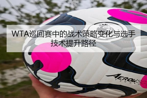 WTA巡回赛中的战术策略变化与选手技术提升路径