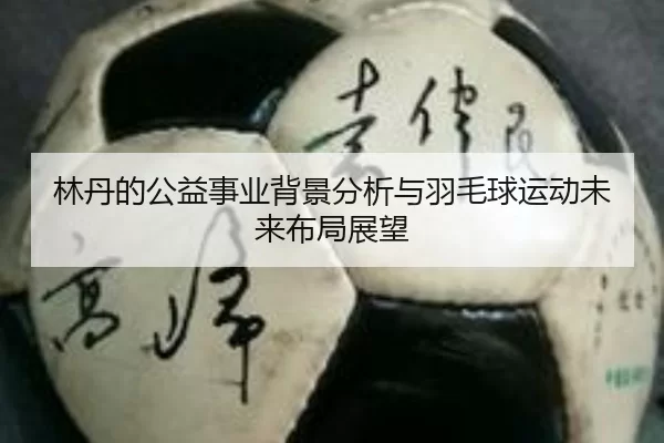 林丹的公益事业背景分析与羽毛球运动未来布局展望
