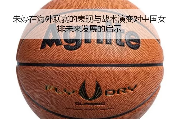img_1781279709466_290_2_816.jpg